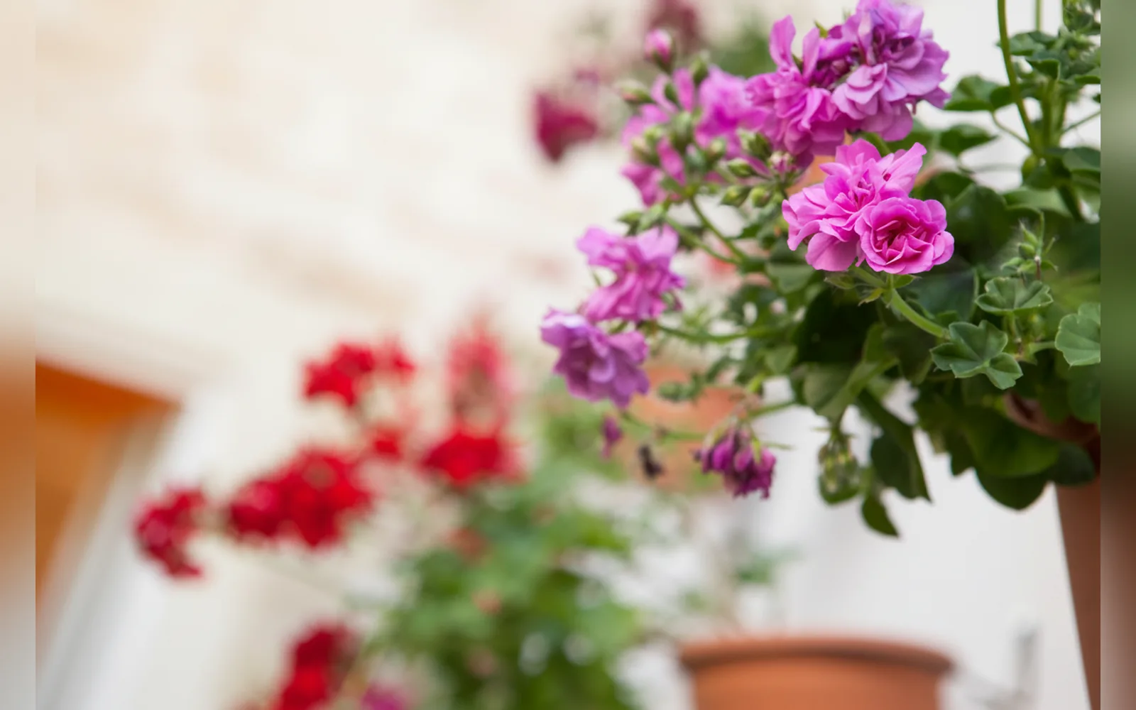 B&B 19Venti, Lecce (Puglia) — galleria foto 55